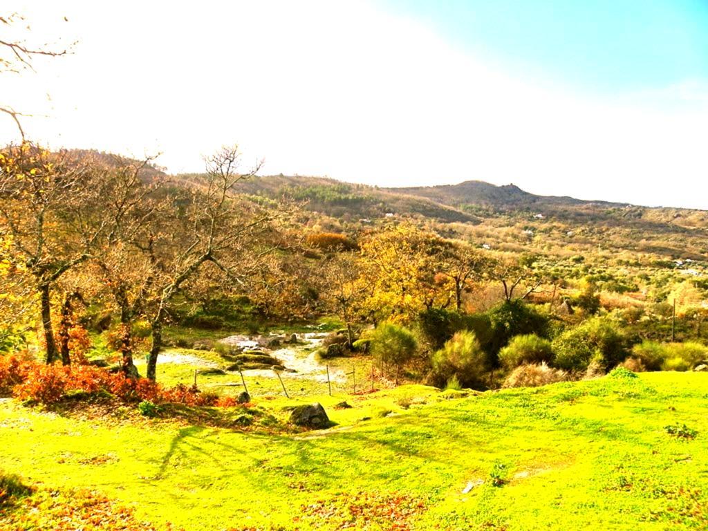 Quinta Do Marvao Vendégház Szoba fotó