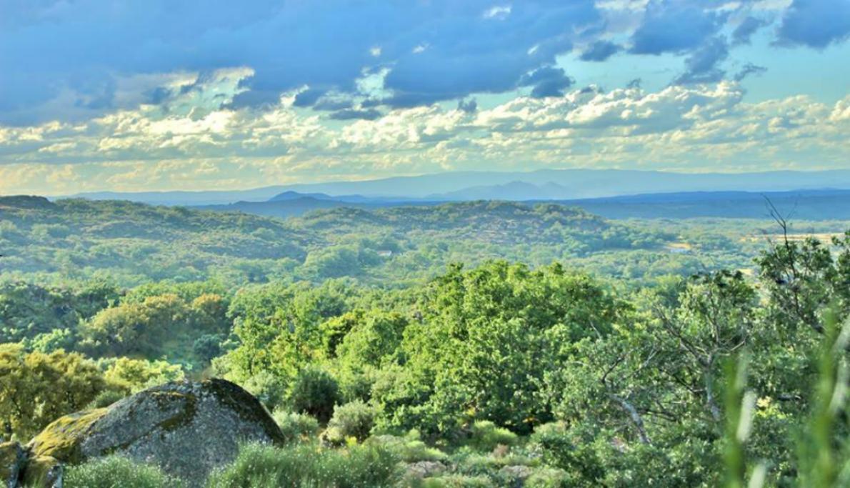 Quinta Do Marvao Vendégház Kültér fotó